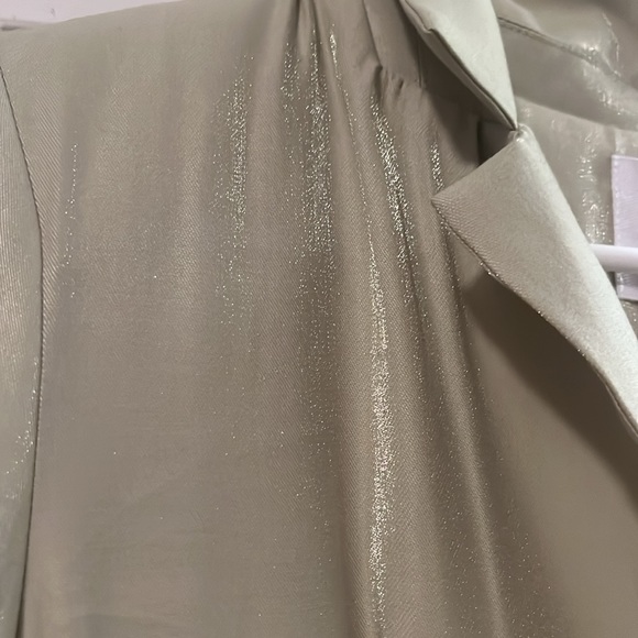 Blu Spero Shimmery Light Green Dress - Picture 4 of 6